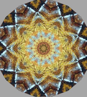 Autumnal Kaleidoscope by Marshall